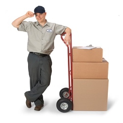 Courier services