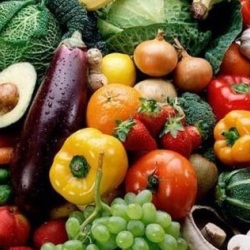 Vegetable cultures