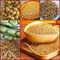 Soy products